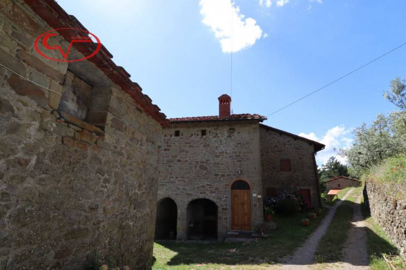  - foto 8
