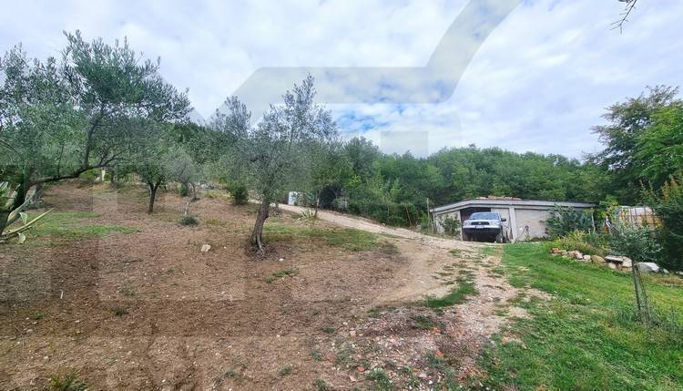 Rustico Ripalimosani, Ripalimosani