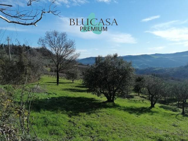 Altro Castrocaro Terme e Terra del Sole, Castrocaro Terme e Terra del Sole