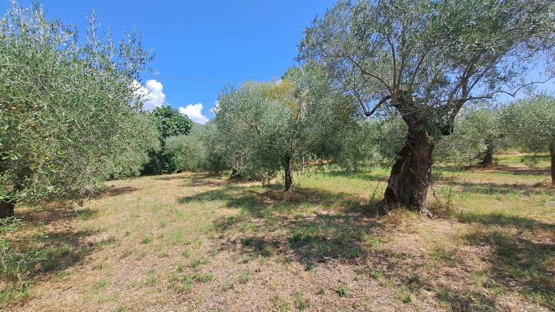 Altro San Donato, Passignano sul Trasimeno
