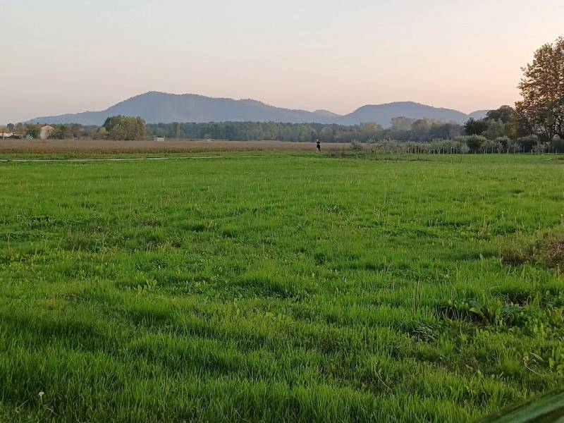 Altro Tramonte, Teolo
