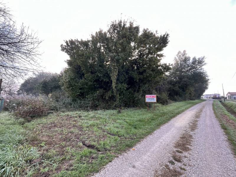 Terreno agricolo Sossano - Centro, Sossano