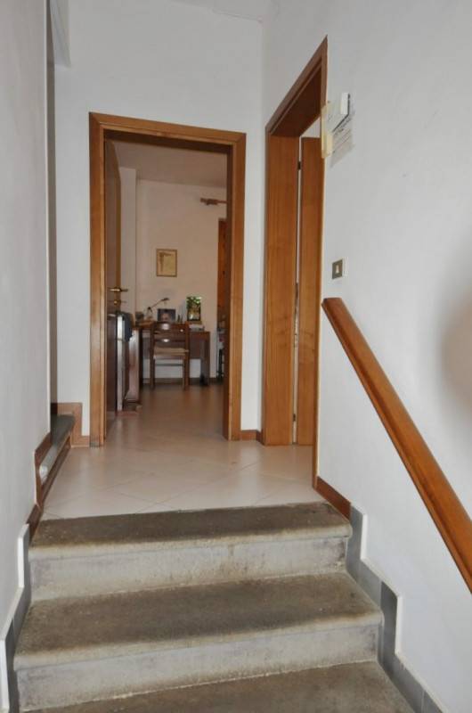  - foto 5