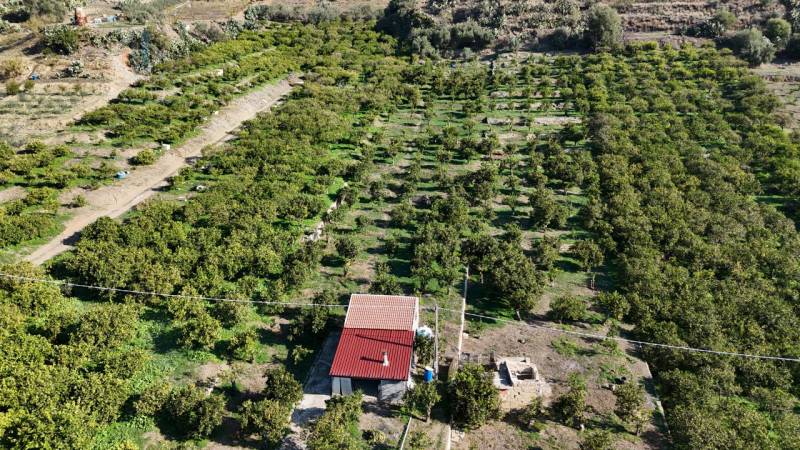 Terreno agricolo, Palagonia