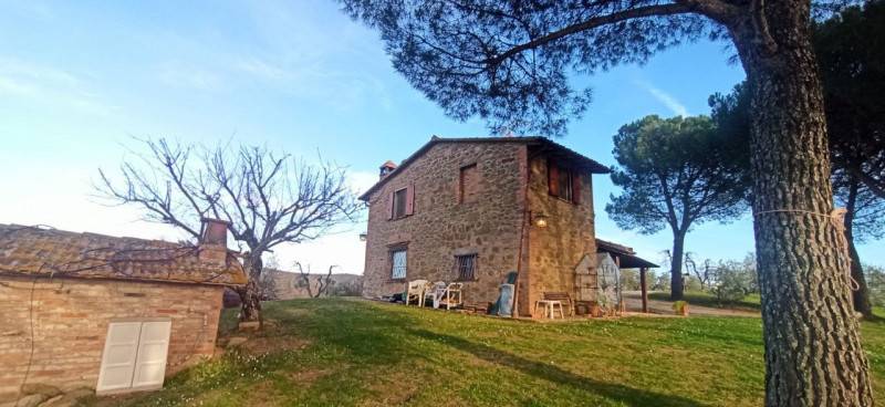 Rustico Città della Pieve, Città della Pieve