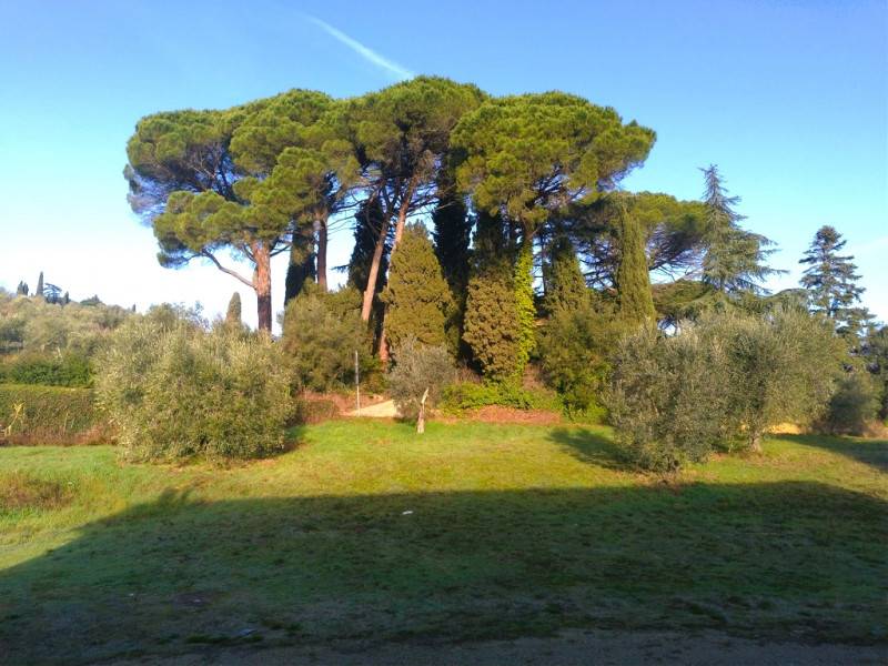  - foto 3