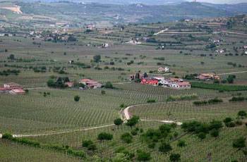 Terreno agricolo, Soave