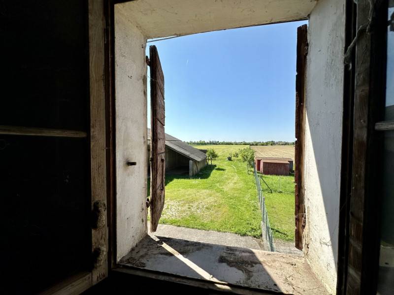  - foto 4