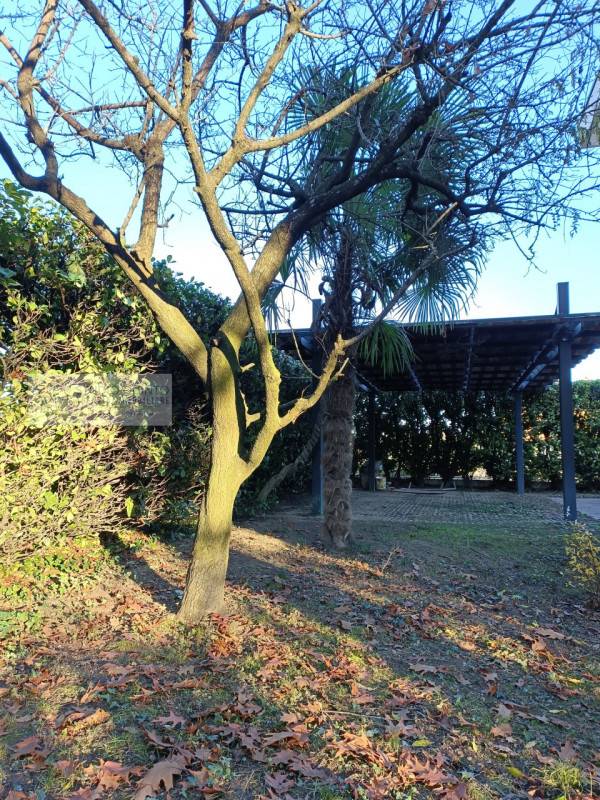  - foto 7