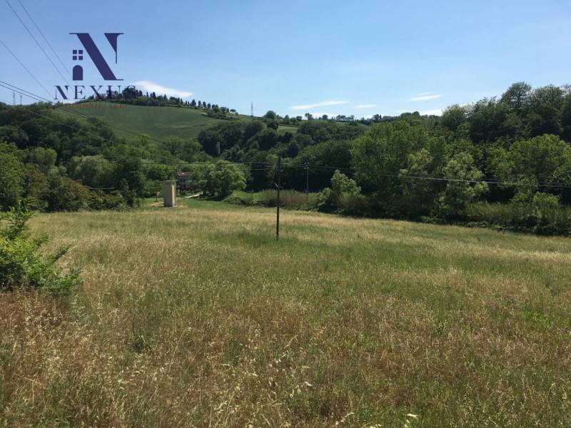 Terreno agricolo, San Costanzo