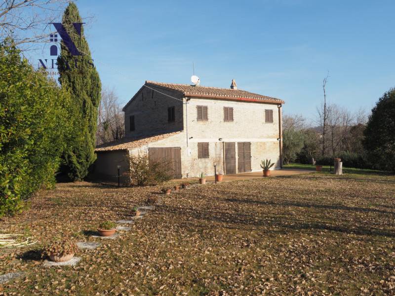 Rustico, Mondavio
