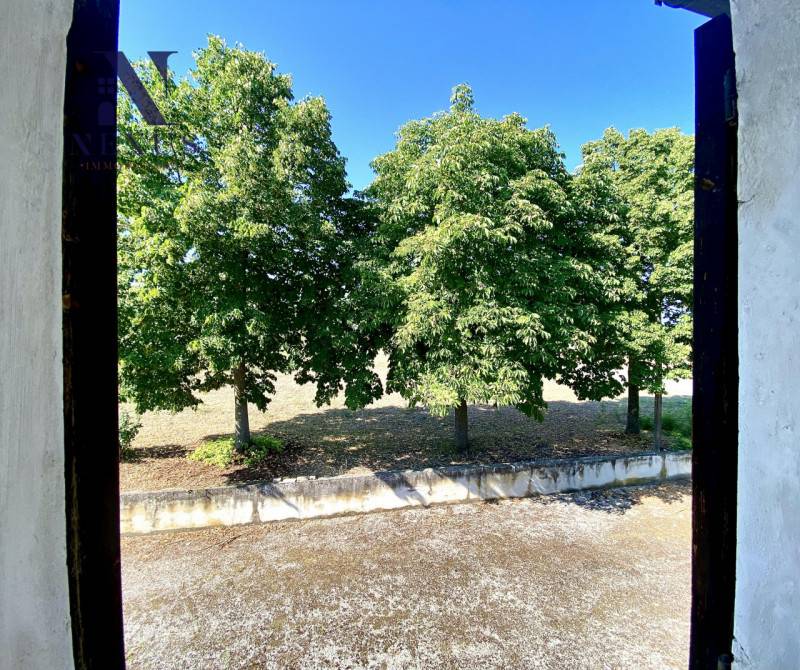  - foto 9