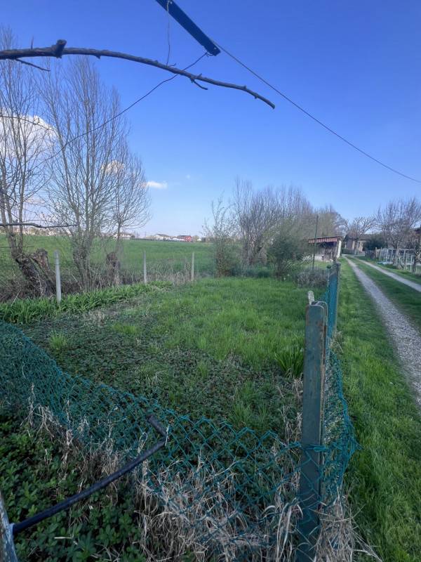 Terreno agricolo Curtarolo, Curtarolo