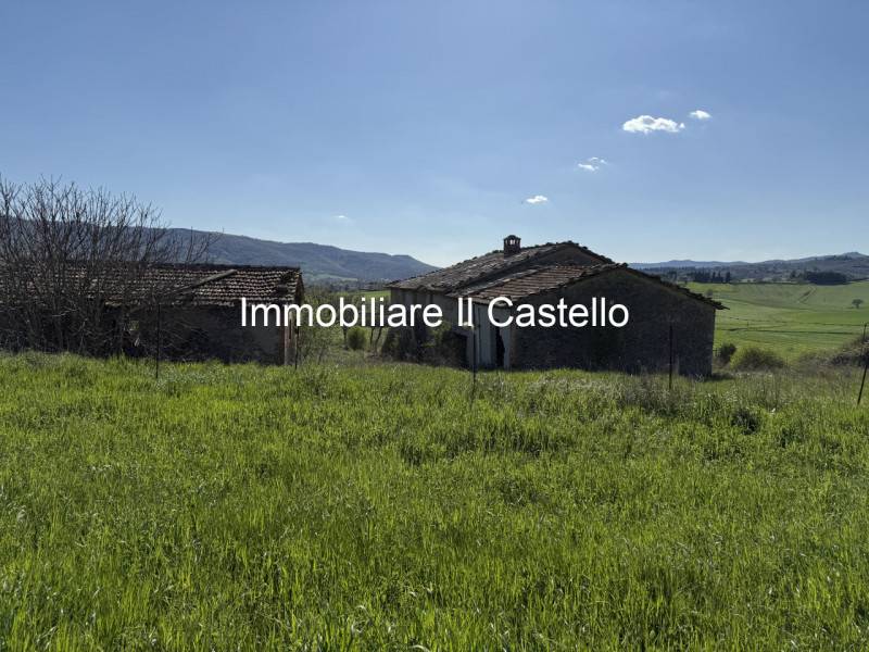  - foto 4