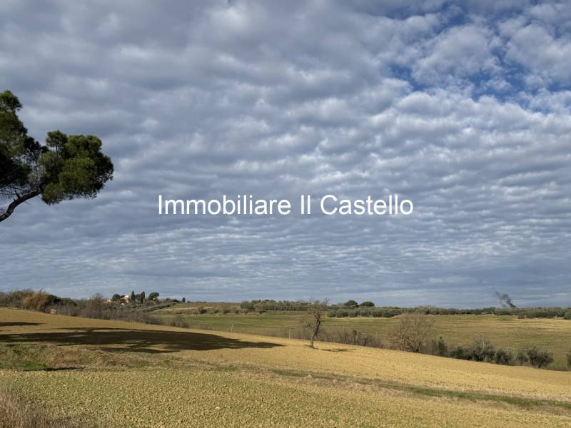 Terreno agricolo Casamaggiore, Castiglione del Lago