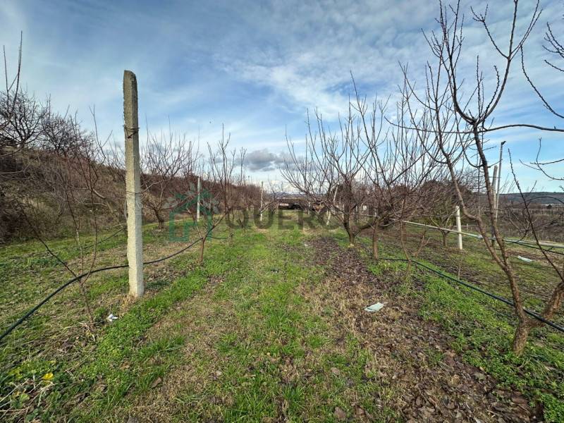 Altro San Zeno, Colognola ai Colli