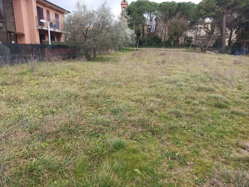 Altro Panicarola, Castiglione del Lago