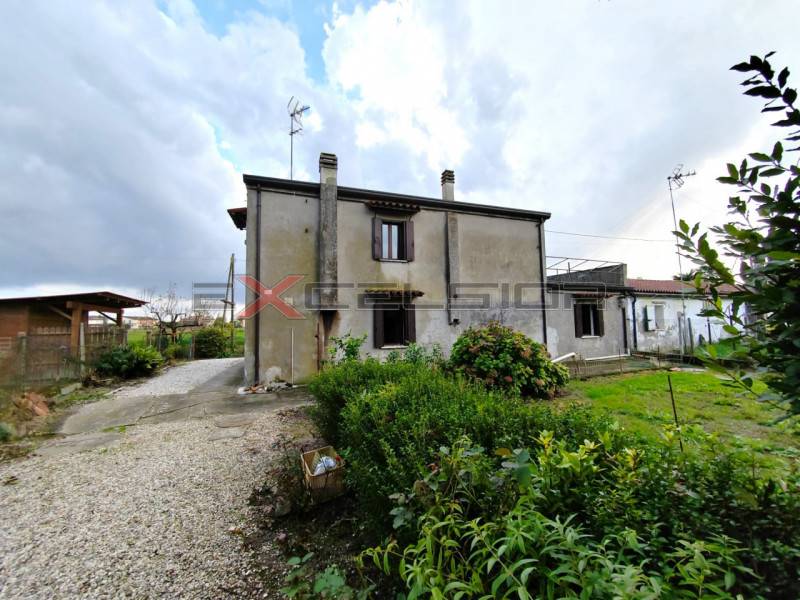 Casa indipendente Pettorazza Grimani, Pettorazza Grimani