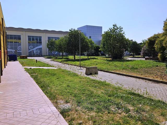  - foto 6