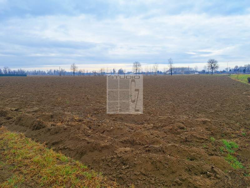 Terreno agricolo Treville - Soranza, Castelfranco Veneto