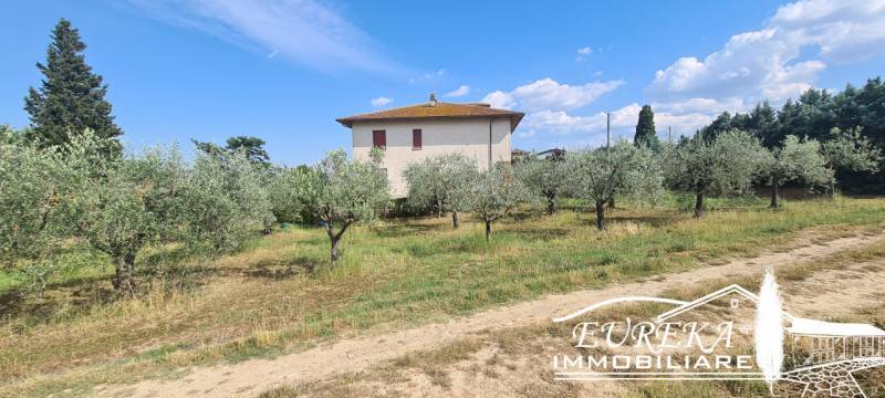 Altro Montepulciano, Montepulciano