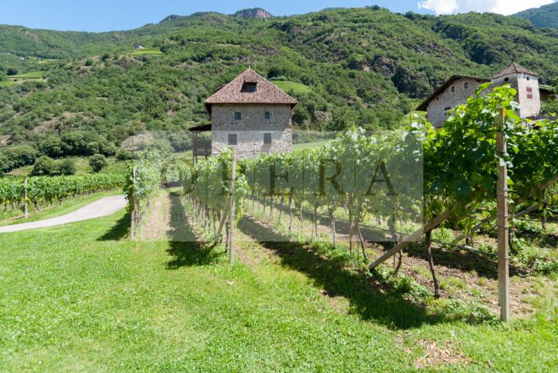 Villa Terlano, Terlano