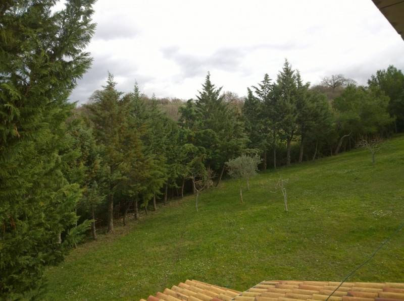 - foto 9