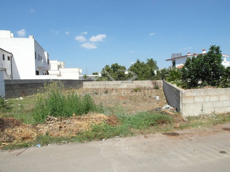  - foto 2