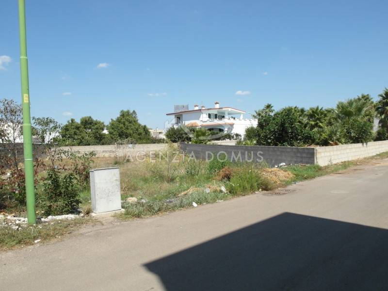  - foto 3