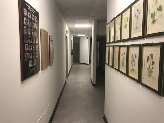  - foto 10