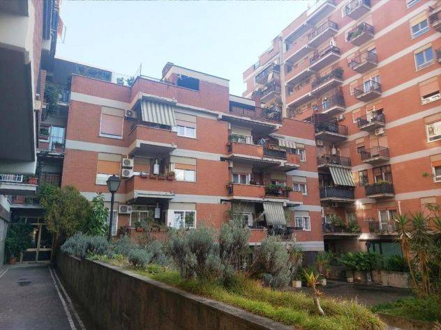  - foto 5