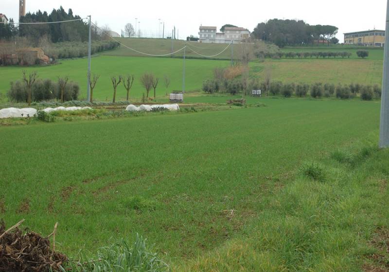 Terreno agricolo Sant 'Andrea in Besanigo, Coriano