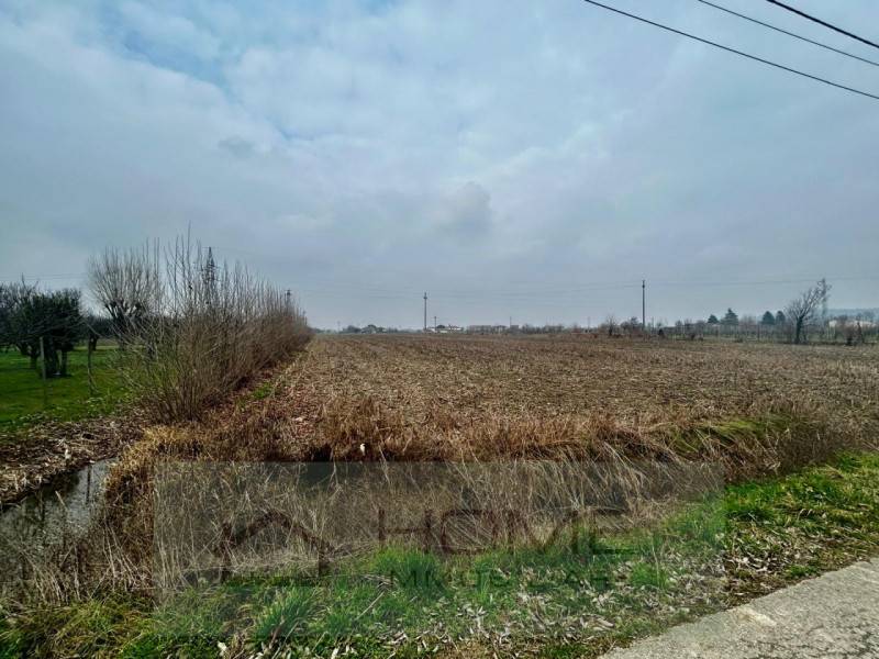 Terreno agricolo, Rovolon