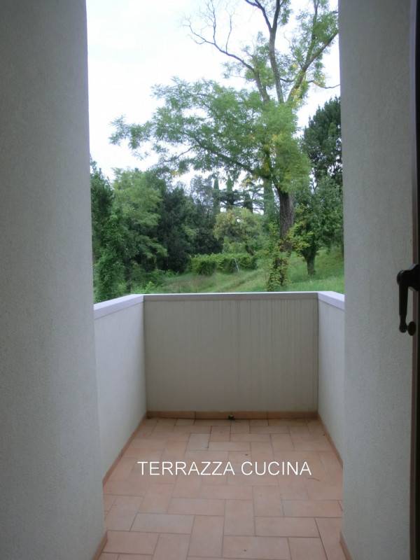 - foto 5