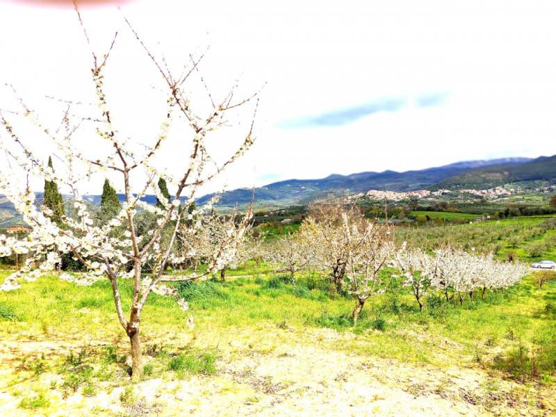  - foto 8