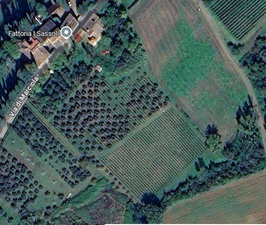 Altro Santa Maria a Marciola, Scandicci