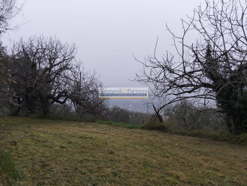  - foto 9