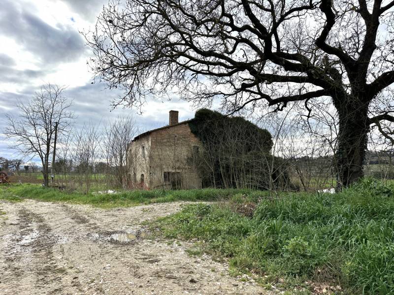  - foto 2