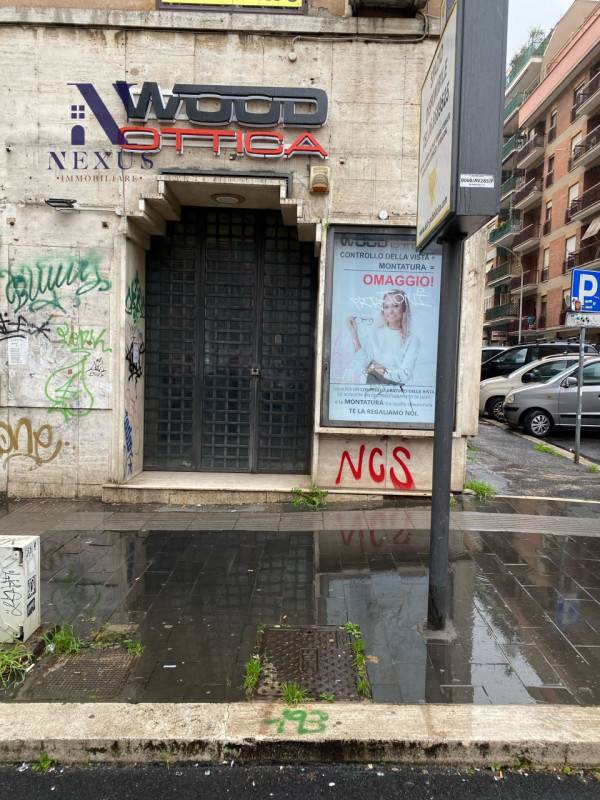 - foto 4