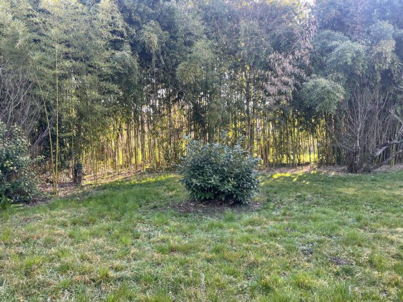  - foto 2