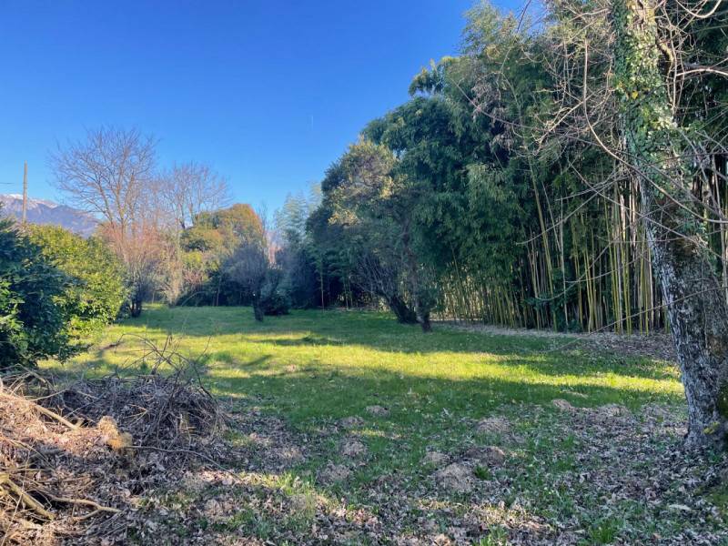  - foto 4