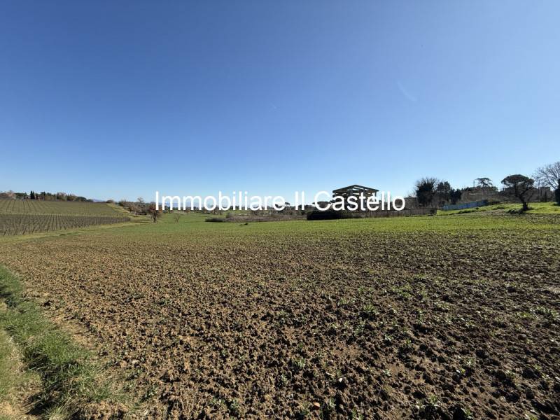 Terreno agricolo Petrignano del Lago, Castiglione del Lago