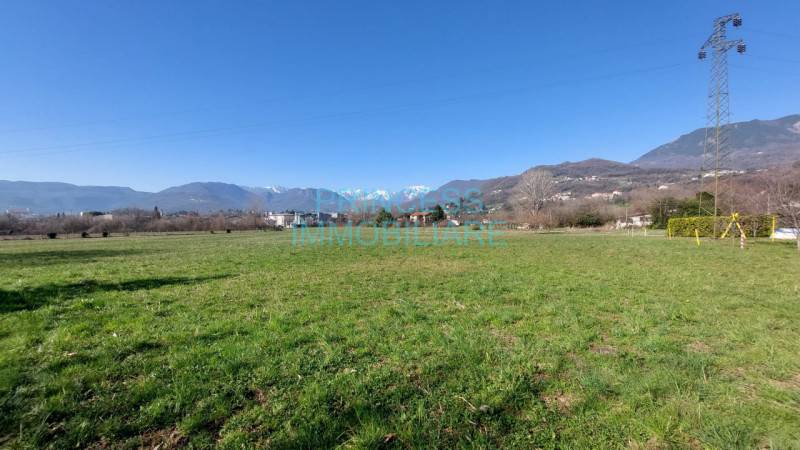 Altro, Schio