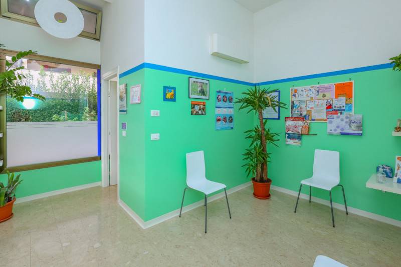 Attività  commerciale, Montegrotto Terme