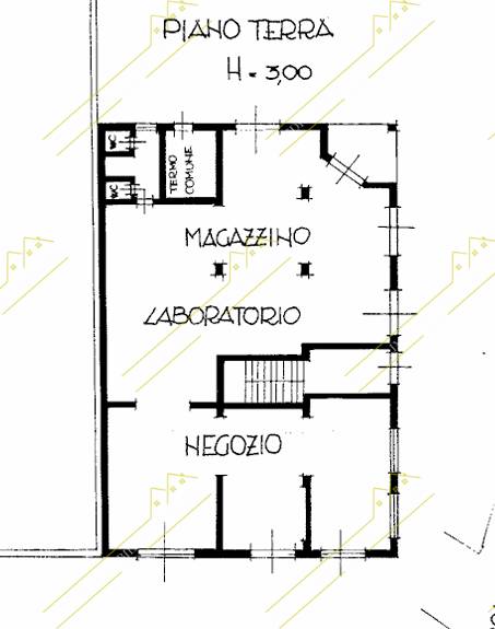  - foto 10