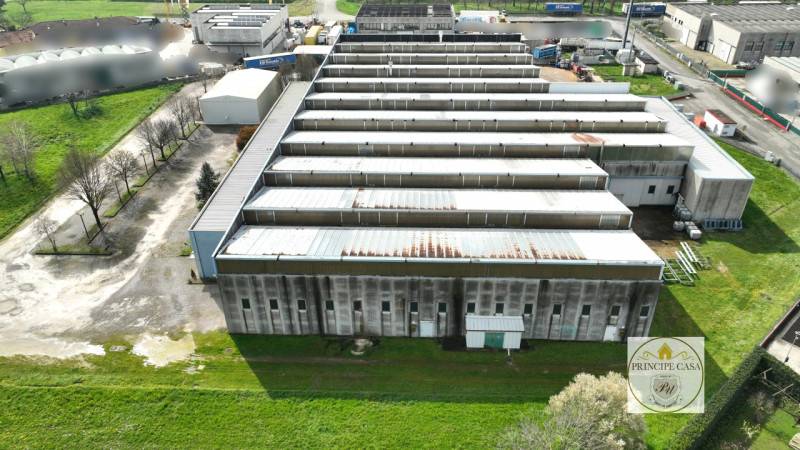 Capannone Ospedaletto Euganeo, Ospedaletto Euganeo