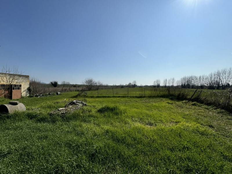  - foto 5