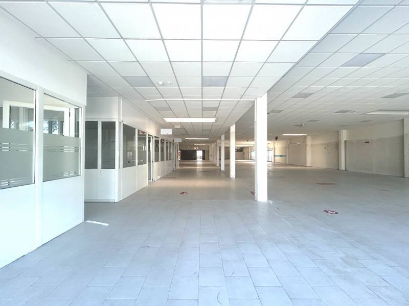 Negozio Rimini, Rimini