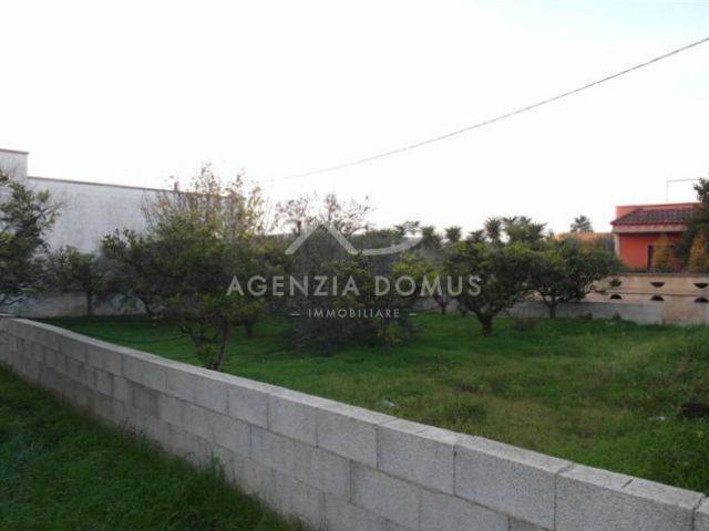  - foto 4