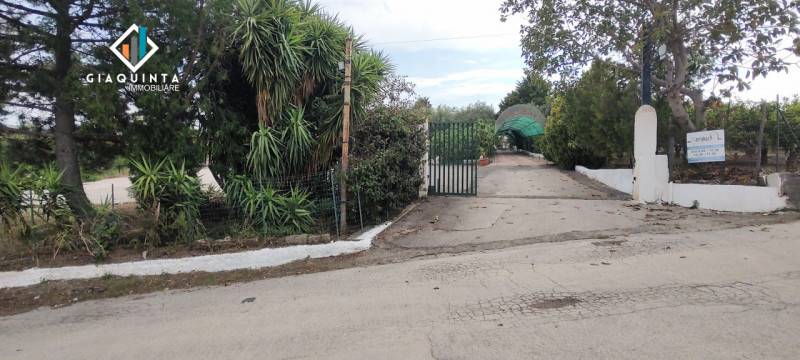  - foto 2